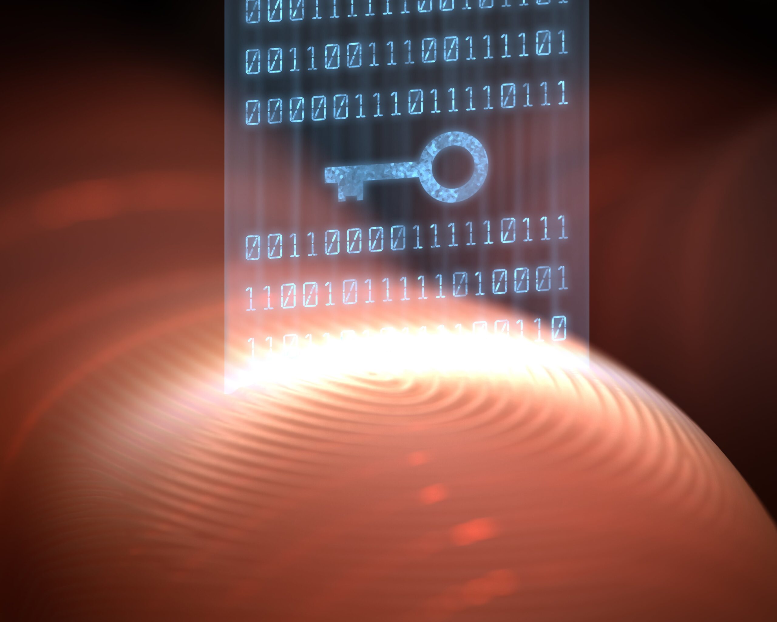 Biometric Verification System for Issuance of Wireless