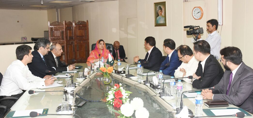 Chinese Delegation Calls on Anusha Rehman