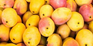 Pakistani mango exports could suffer serious setback during Covid-19 pandemic due to questionable conduct of DPP officials