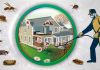 Control Your Home Pests For Good With These Tips