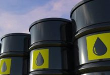 The Concerns and Risks of Government-Backed Oil Imports: Impact on the Oil Industry and Economy