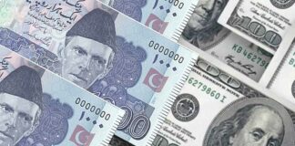 Is it Possible for the Pakistani Rupee to Strengthen to Rs. 220-230 Against the US Dollar by Early 2025