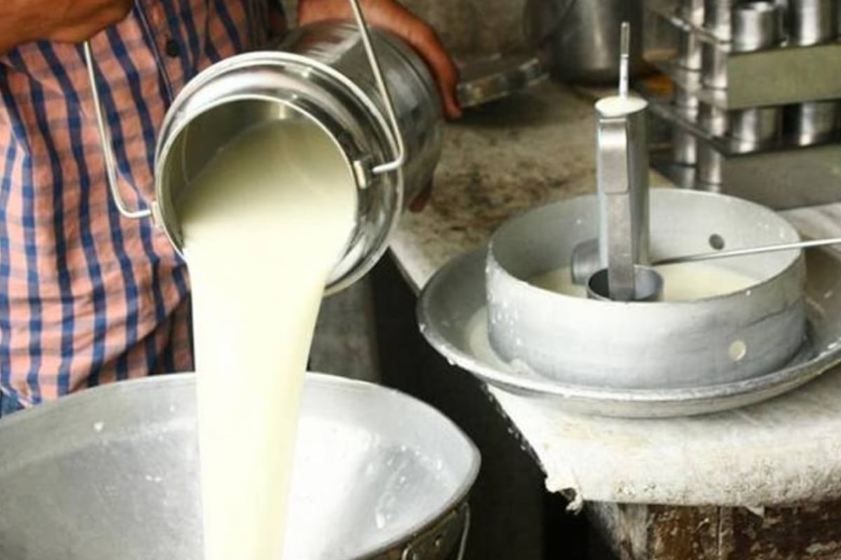 Rawalpindi Sees Significant Rise in Milk and Yogurt Prices