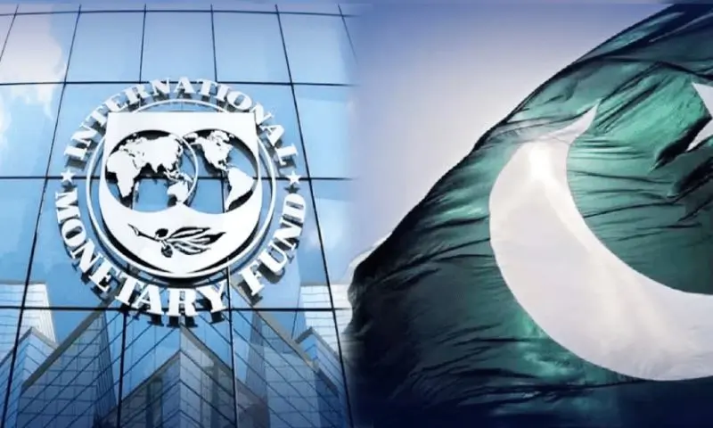 IMF
