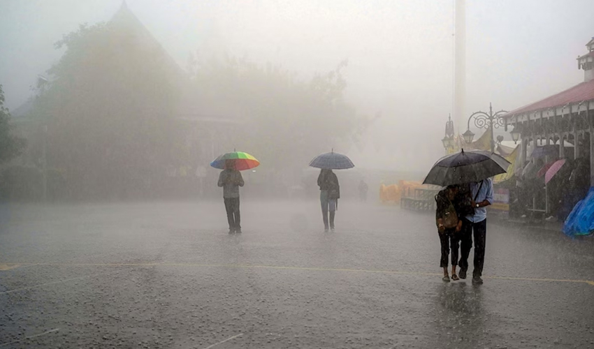 Rain Windstorms and Thunderstorms