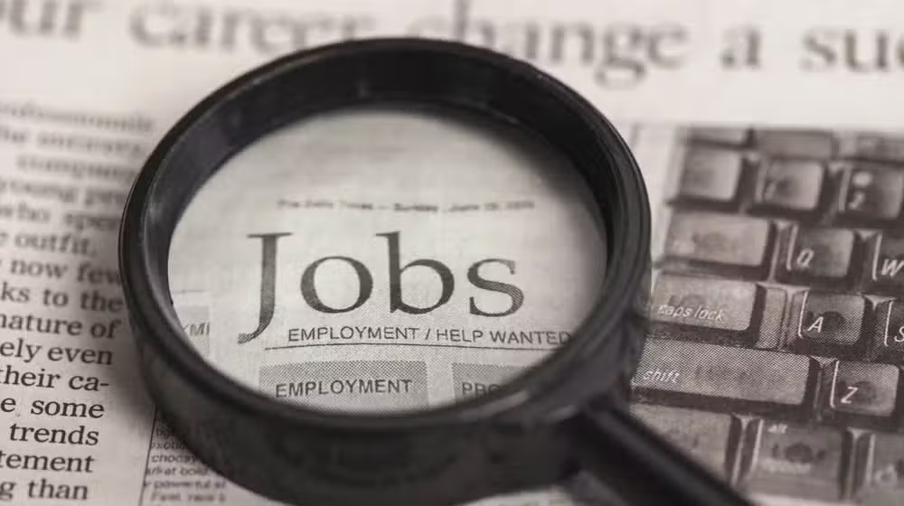 Jobs in 2024