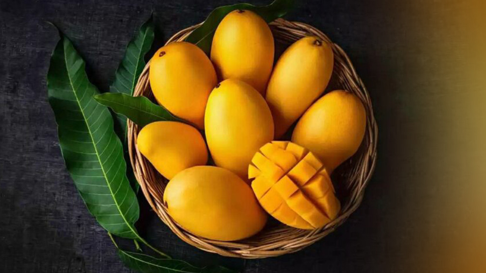 Pakistan's Mango Exports