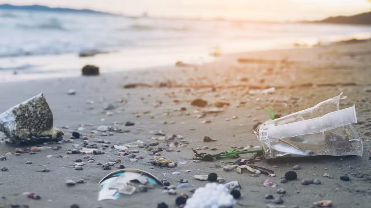 Plastic
