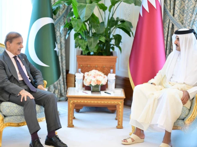 PM Shehbaz Condemns Israeli Strike on Doha at Arab-Islamic Summit; Pledges Pakistan’s Full Solidarity with Qatar