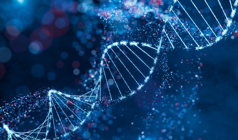 DNA Testing