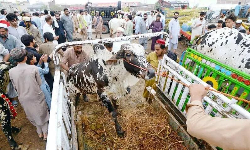 Holidays for Eid-ul-Adha