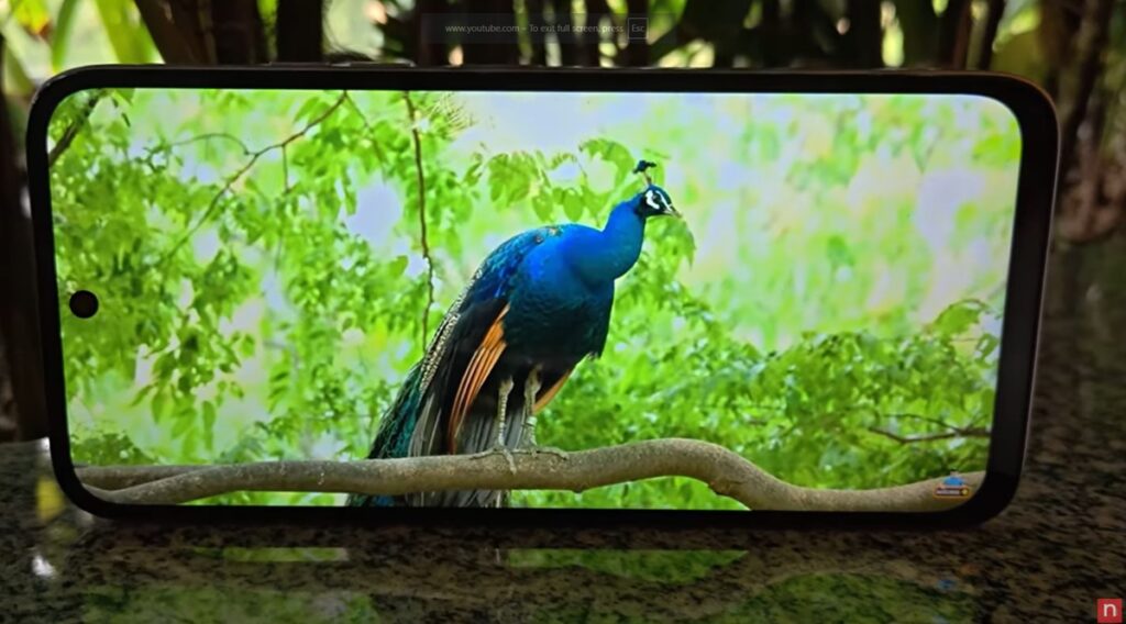 Display