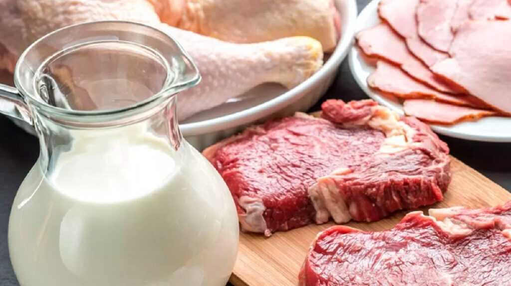 Milk and Meat